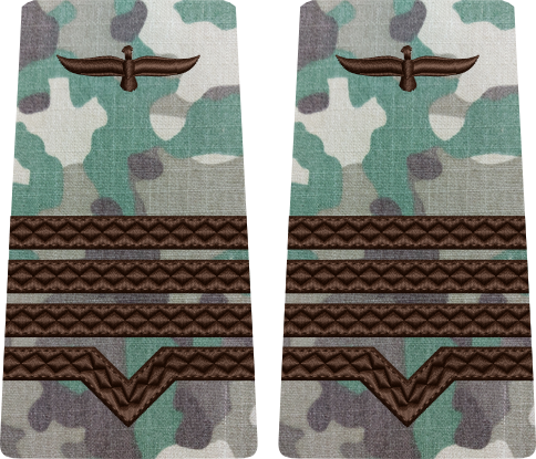 GRADE COMBAT TERESTRU MAISTRU MILITAR CLASA 2 Aviația Română (Forțele Aeriene )